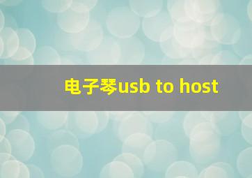 电子琴usb to host